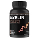Myelin Caps, supplément santé cérébrale, supplément de focus et santé cérébrale avec AlphaSize, soutien de la mémoire et de la fonction cognitive, sans gluten, non-OGM (90 capsules)