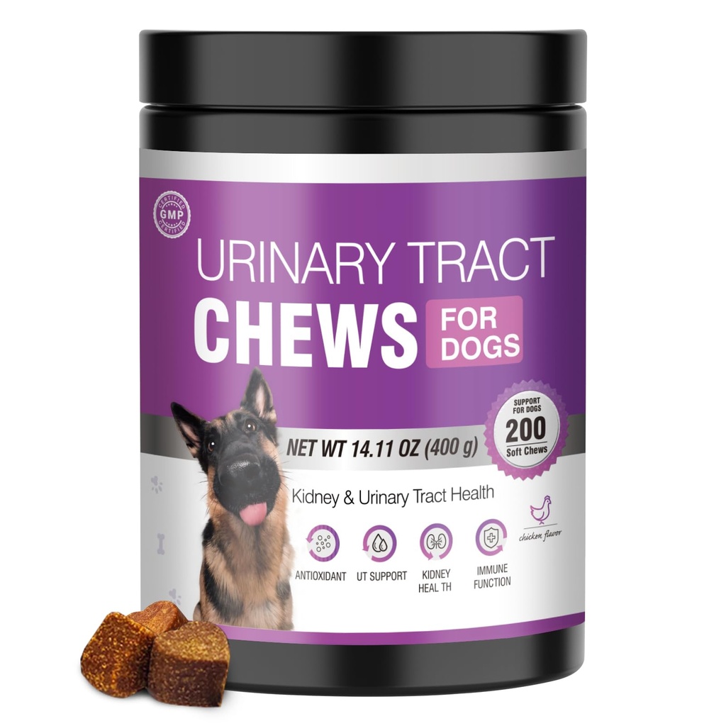 Hunde UTI Behandlung Cranberry Ergänzung für Hunde 200 Chews Urinary Tract Medizin Blasenkontrolle Pillen Nierenunterstützung Cranberrys Extrakt Bites Welpen UTI Infektion Treats Incontinence Remedy für Hunde