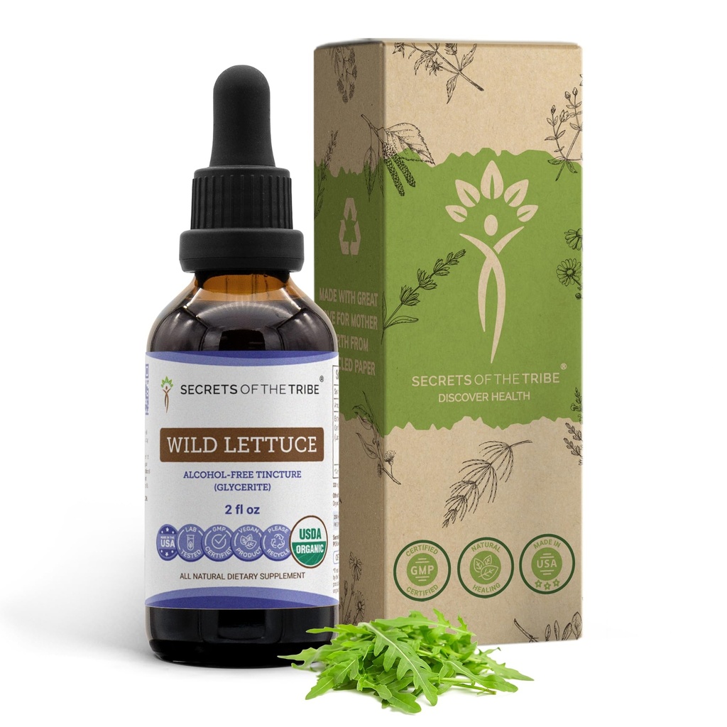 Secrets of the Tribe Wild Lettuce Alkoholfrei USDA Organic Tincture Extract, Wild Lettuce (Lactuca virosa) Getrocknete Kräuter (2 fl oz)