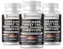 Lions Mane Supplement Kognitive Unterstützung, Immungesundheit mit der Türkei Tail 20in1 Pilz Reishi Cordyceps Chaga mit Marshmallow Root -180 Count