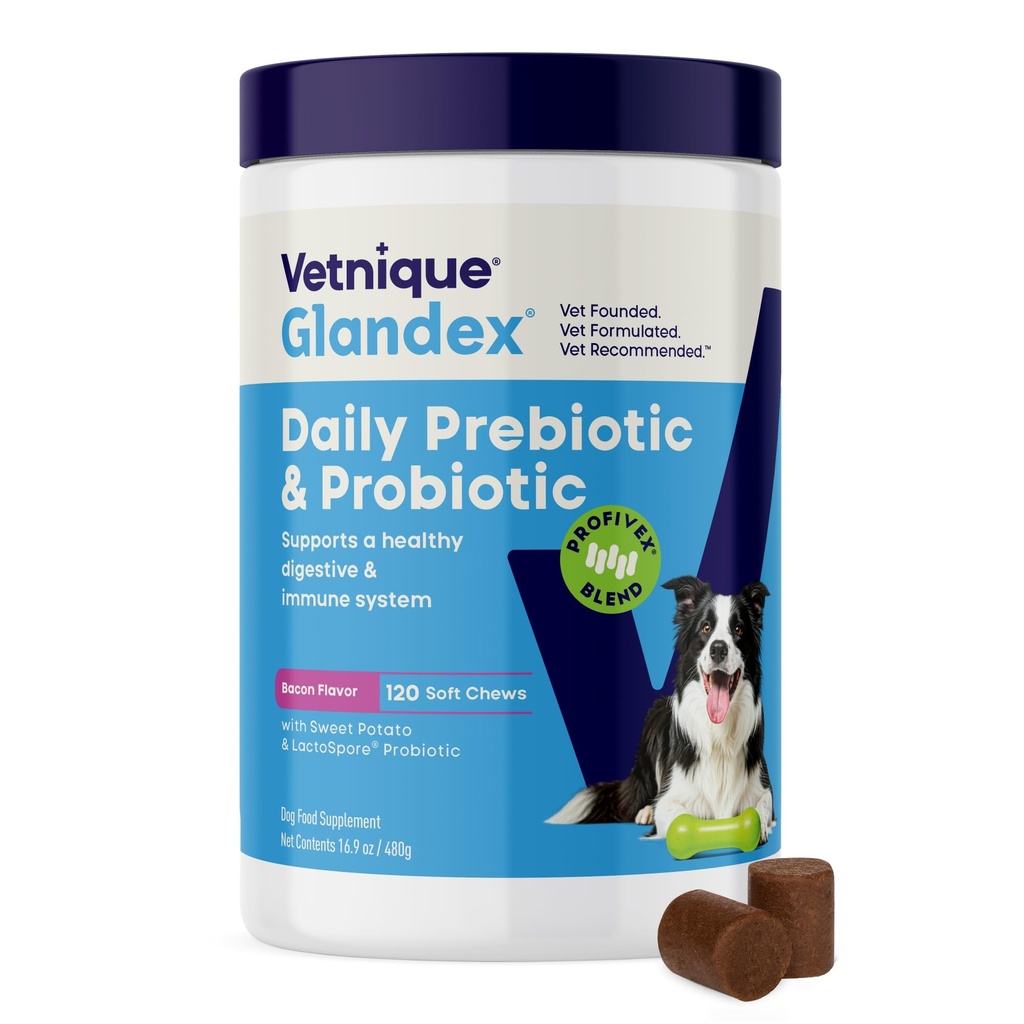Vetnique Glandex Daily Probiotics for Dogs with Prebiotics to support Gut Health with Fiber and Digestive Enzymes, Probiotic Chews oder Powders (120ct Chews, Bacon Chews)