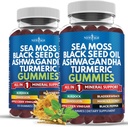 Sea Moss Gummis, Sea Moss, Black Seed, Ashwagandha, Turmeric, Manuka Honey, ACV, Dandelion, Black Pepper, Burdock, Bladderwrack, Vegan - 120 Count