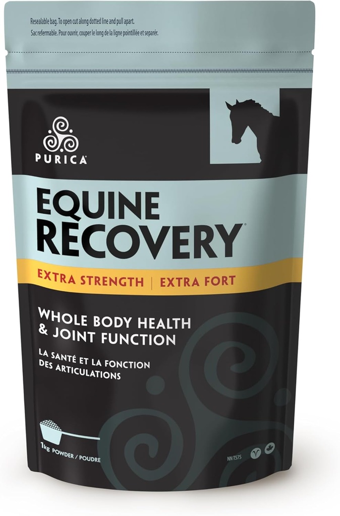 Acide hyaluronique équin de PURICA - Supplément de soutien articulaire pour chevaux avec la glucosamine, la poudre MSM, la bétaïne, le magnésium, la vitamine C et l'E - Extrait de thé vert et de graines de raisin - Approvisionnements et traites pour chevaux