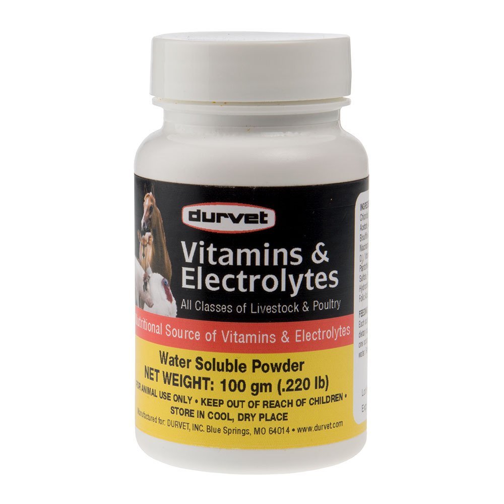Durvet 698468 Vitamines et électrolytes pour le bétail et la volaille 100G