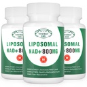 Supplément NAD+ Liposomique NAD+ Plus 800MG Nicotinamide Riboside Alternative pour l'énergie cellulaire, le vieillissement en santé et la réparation musculaire 180 Capsules (Pack of 3)
