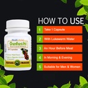 Guduchi- Tinospora cordifolia 120 Capsules Emballage en bouteille