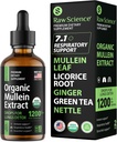 Gouttes de Mullein bio pour les poumons - Support respiratoire et soulagement du mucus - Détox pulmonaire pour les fumeurs: Extrait de feuille de Mullein, réglisse, gingembre, Origan et feuille de nébuleux, Thym - Extrait de plantes de nettoyage pulmonaire, 2oz