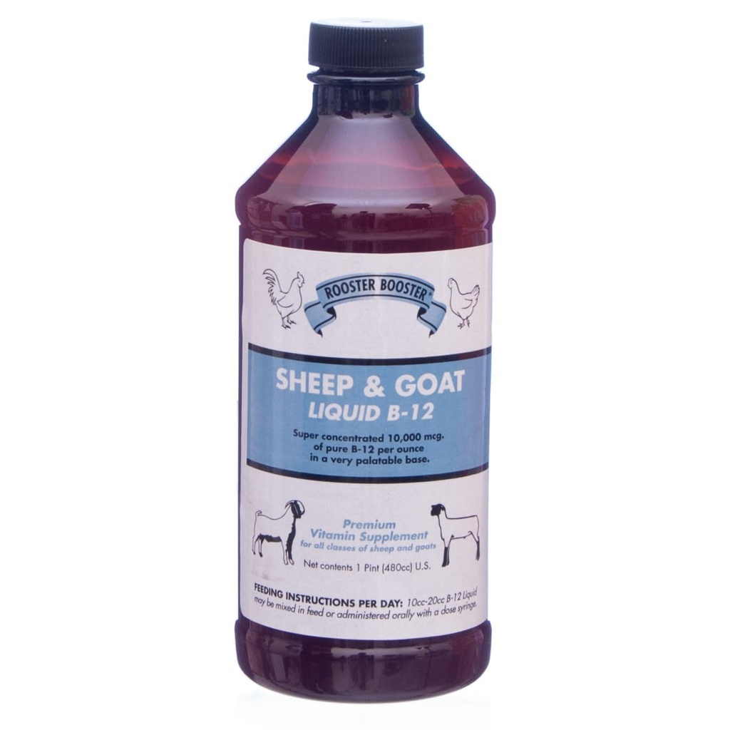 Hahn Booster B-12 Schaf- und Ziegenflüssigkeit, 16-Ounce