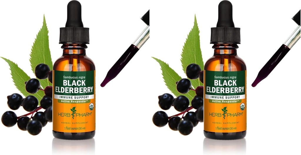 Herb Pharm certifié extrait liquide de mûrier noir biologique pour le système immunitaire, alcool de canne biologique, 1 oz (paquet de 2)