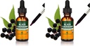 Herb Pharm certifié extrait liquide de mûrier noir biologique pour le système immunitaire, alcool de canne biologique, 1 oz (paquet de 2)