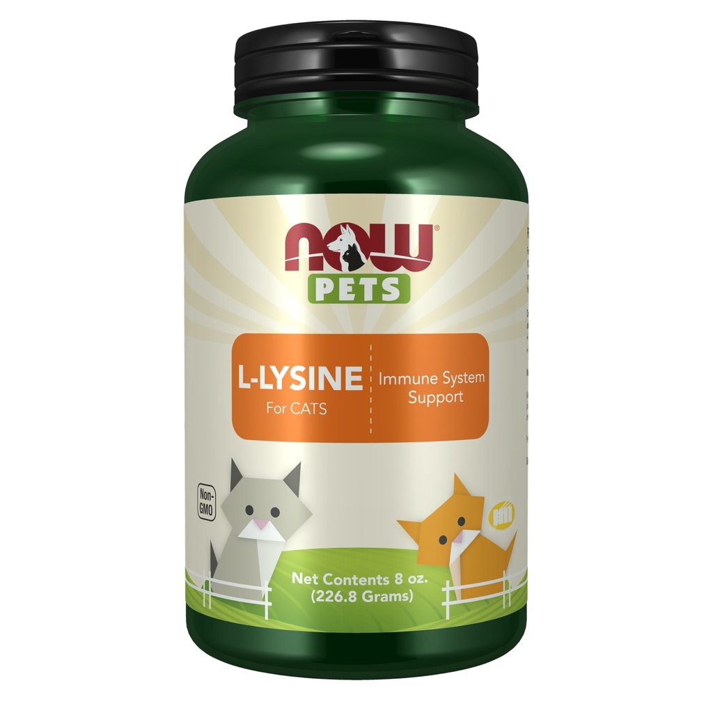 JETZT Pet Health, L-Lysine Supplement, Pulver, geformt für Katzen, NASC zertifiziert, 8-Ounce