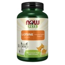 MAINTENANT Santé des animaux, supplément L-Lysine, poudre, formulé pour les chats, certifié NASC, 8-Ounce