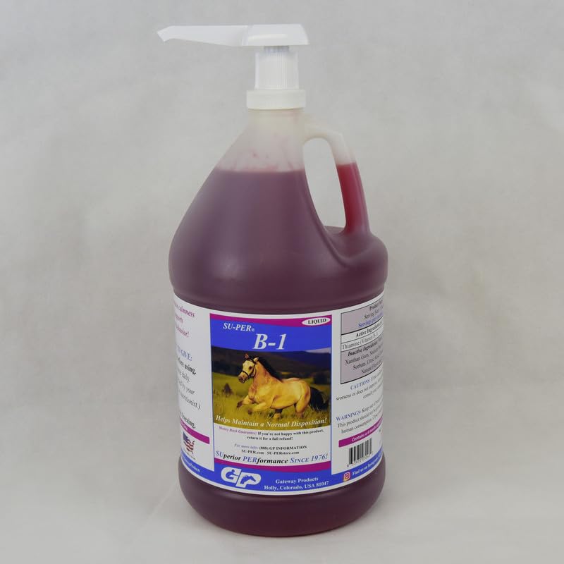 SUPER B-1 Supplément calmant pour chevaux - Vitamine Hippique B-1 Support Cheval calmant liquide - Supplément booster pour chevaux - 1 Gallon + pompe, 4 mois d'approvisionnement