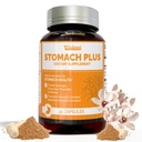 Stomach Plus-für Stomach, Gastritis, Stomach Lining Repair, Säure Reflux, Sodbrennen, Verdauung, mit Galangal, Dong Quai, Cinnamon & Magnolia-45 Kapseln