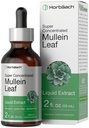 Horbäach Mullein Blatt Extrakt Tropfen | 2 fl oz | Alkoholfreie flüssige Tinktur | Vegetarisch, Non-GMO & Gluten Kostenlose Kräuterergänzung