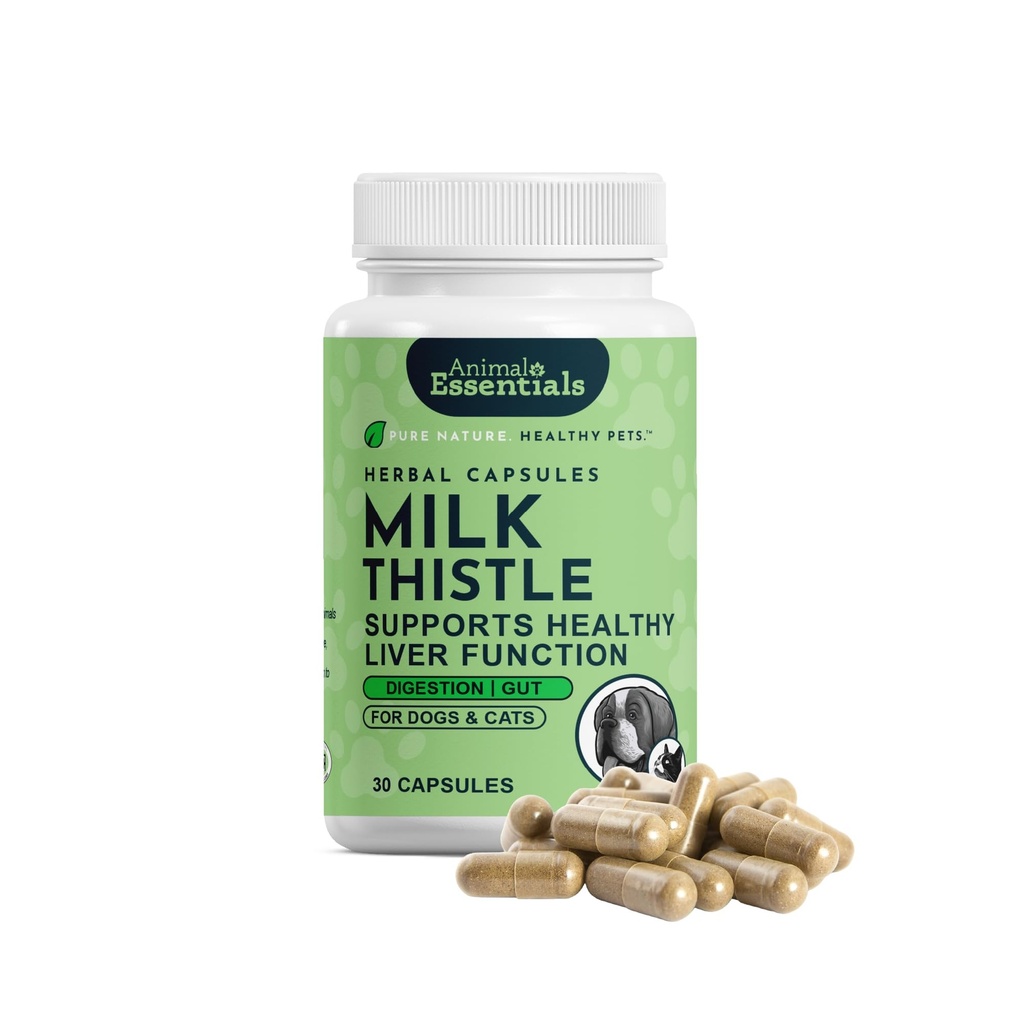 Animal Essentials Thistle de lait pour chiens et chats - Soutien du foie, Thistle de lait 150mg, Silymarin, Supplément hépatique, Capsules à base de plantes, Herbes organiques de qualité humaine, Vétérinaire recommandé - 30 Nombre