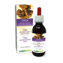 Naturalma Chaga (Inonotus obliquus) Pilz oder Pilz Alkoholfreie Tinktur - 4 fl oz Flüssiger Extrakt in Tropfen - Kräuterergänzung - Vegan