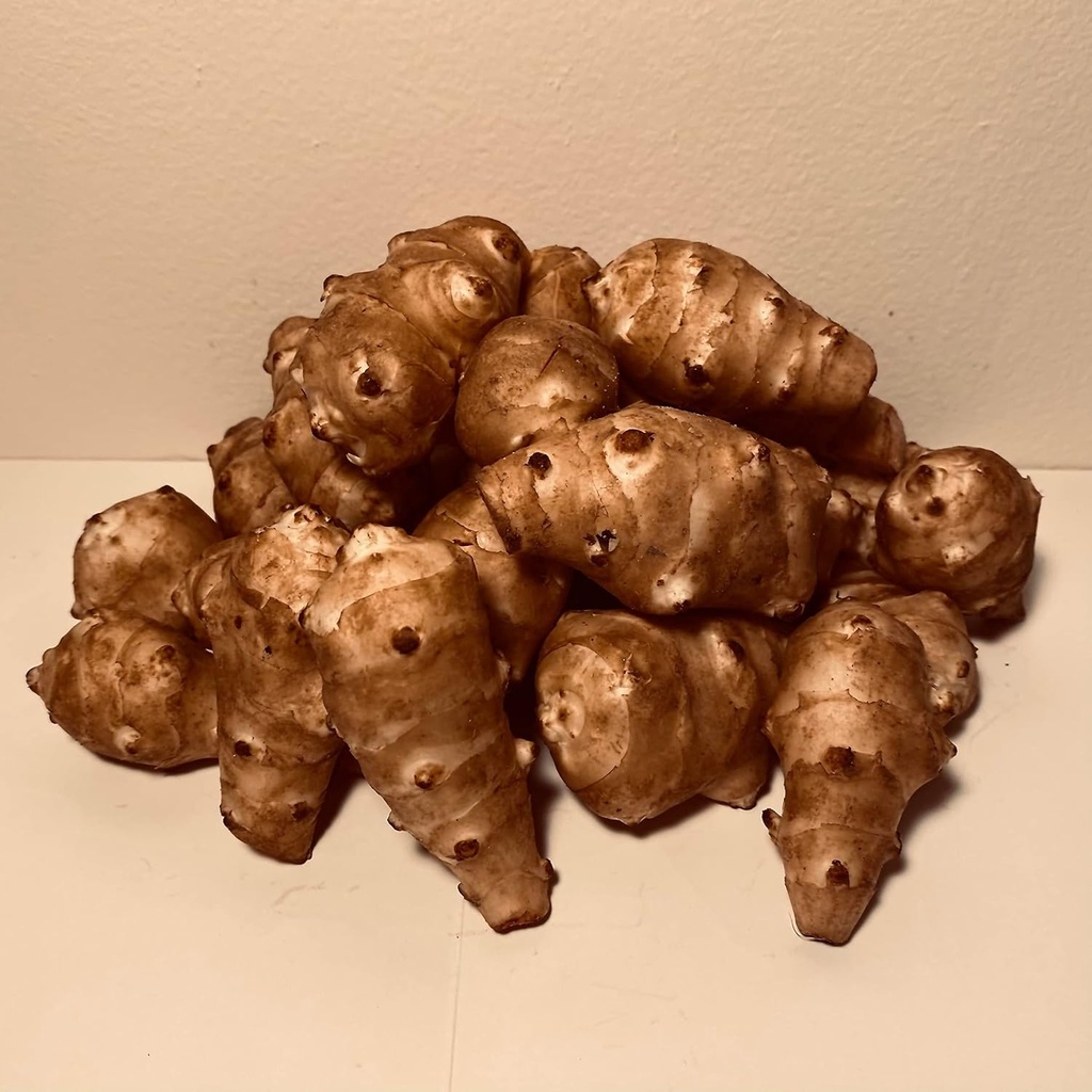 Sunchokes Adama Foods - 2 1/2 Pfund (2,5 lbs) für die Bepflanzung oder Essen FEDEX 2day