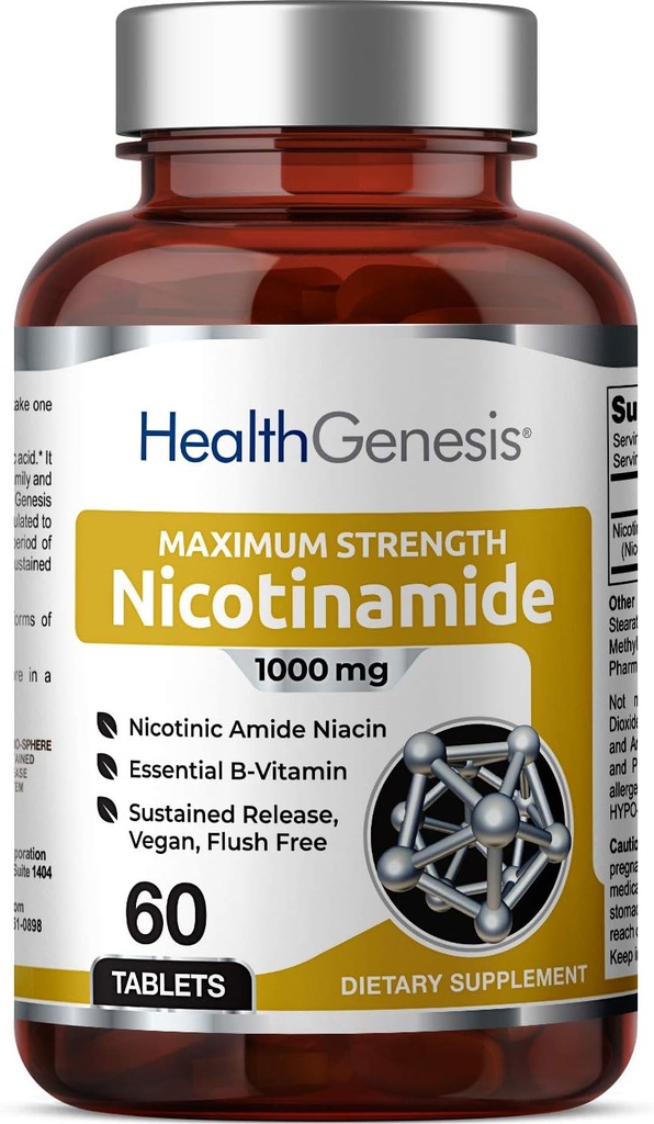 B-3 Nicotinamide 1000 mg 60 Tabs Extra Strength Slow Release - Natural Flush-Free Vitamin Formula | Gluten-Free Nicotinic Amide Niacin | Supports Skin Health | Cell Repair Support