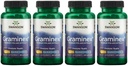 Swanson Maximum Strength Graminex Flower Pollen Extract - Unterstützt Prostata Gesundheit, Urinary Tract Funktion und Nierengesundheit - Mens Health Supplement - (60 Kapseln, 500mg Jeder) (4 Packung)
