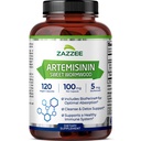 Zazzee High Absorption Artemisinin, 100 mg pro Kapsel, 120 Vegan Kapseln, mit 5 mg BioPerine für maximale Absorption, Sweet Wormwood Extract, 4 Monate Versorgung, All-Natural und Non-GMO
