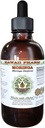 Hawaii Pharm Moringa Alkoholfreie Flüssigextrakt, Moringa (Moringa Oleifera) Blatt Glycerit Natürliche Kräuterergänzung, USA 4 oz