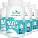 Supplément NAD+ liposomale 1000 mg de NAD le plus élevé Pontecy de NAD