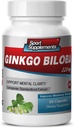Brain Supplements for Memory and Focus - Ginkgo BILOBA 120MG - Gingko biloba Plant, Focus Supplements for Adults, Gingko biloba Supplements, Ginko biloba Pills Natural, Memory Supplement - 1B 60 Caps