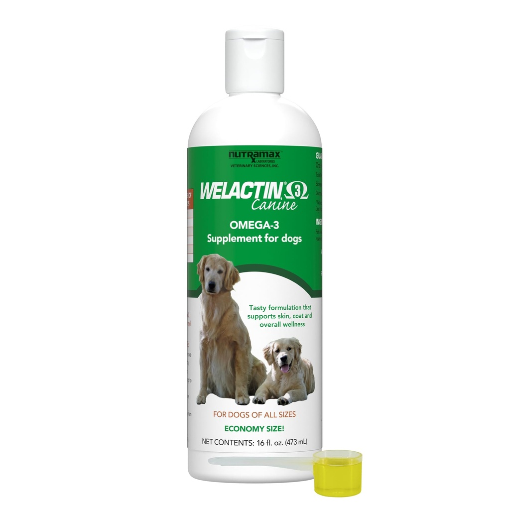Nutramax Welactin Omega 3 Huile de poisson pour les chiens, la peau et le supplément santé de manteau, plus joint, immunitaire, rein et soutien du cerveau, acides gras Omega 3 Premium, pour les chiens de toutes tailles, 16 once liquide (3 pc)