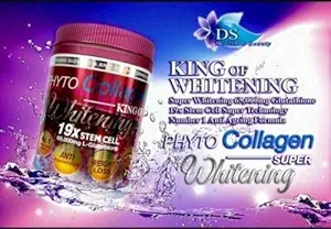 Phyto Collagen Blanchiment 19X STEM CELL Anti-Aging Pro Blanchiment Résultats Énergie