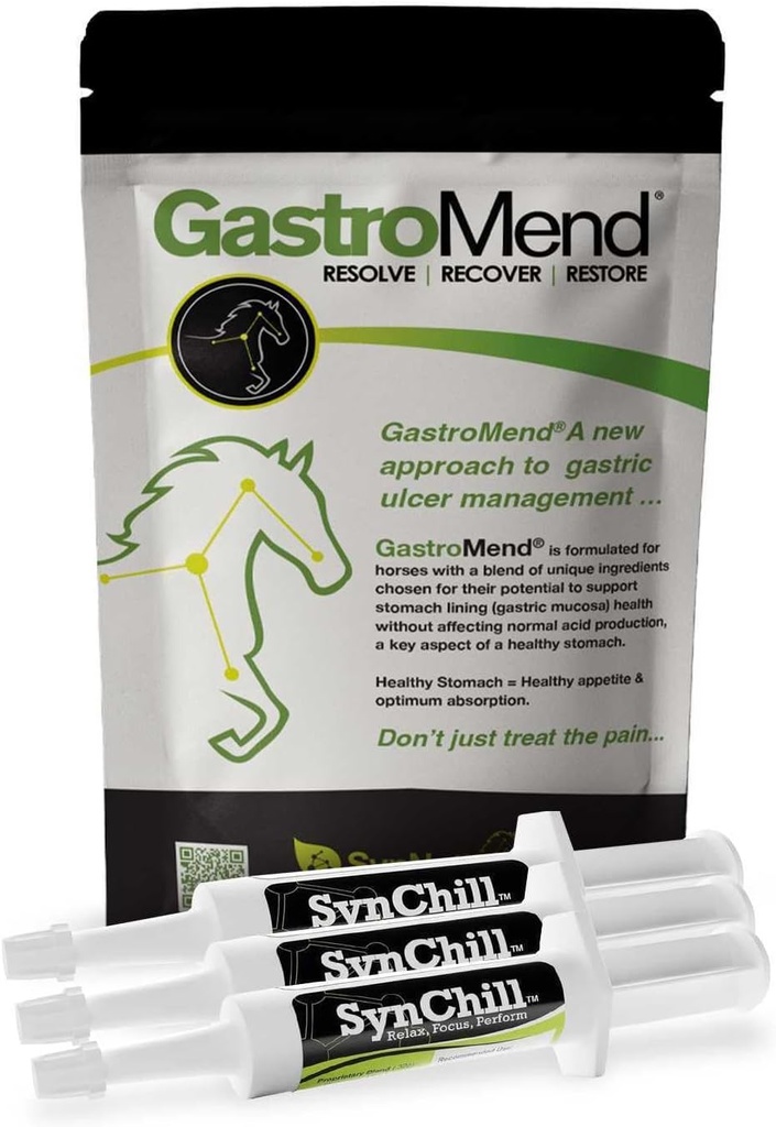 SynChill 3 Pack + GastroMend Bundle für Pferde - Umfassende Stomach Gesundheit & Behavioral-Unterstützung, Aids in Magengeschwür, Fördert Beruhigung & Fokus, All Natural, Kosteneffektiv