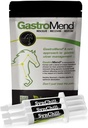 SynChill 3 Pack + GastroMend Bundle für Pferde - Umfassende Stomach Gesundheit & Behavioral-Unterstützung, Aids in Magengeschwür, Fördert Beruhigung & Fokus, All Natural, Kosteneffektiv
