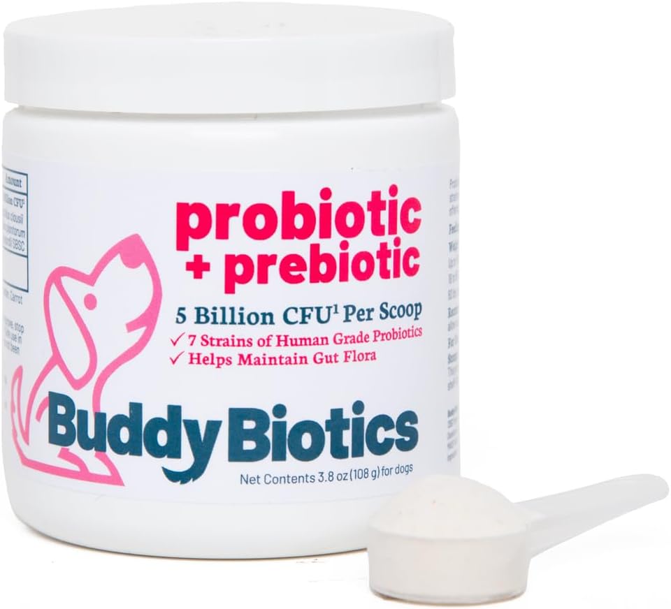 Buddy Biotics Probiotic + Prebiotic für Hunde- Gut Flora Gesundheit, Verdauungs- und Immungesundheit, Durchfall und Bowel-Unterstützung – 5 Billion CFU pro Scoop