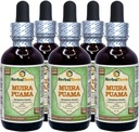 Muira Puama (Ptychopetalum Olacoides) Glycerit, Organic Alcohol-Free Liquid Extract (Markenname: HerbalTerra, Proudly Made in USA) 5x2 fl.oz (5x60 ml)