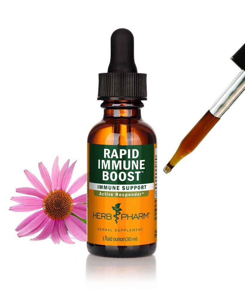 Pharm Bio Rapid Immune Boost: Teinture à absorption rapide pour les adultes, Teinture d'échinacée avec Seaux d'Or, Extrait de gingembre et Elderberry, Supplément de soutien immunitaire et Aide au bien-être, 1 Oz