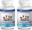 Incontinence vésicale des chiens à croquer - SOUTIEN AUX TRACTS URINAIRES DES DOGS - SOLUTION DE CRANBRES NATURELLES - SANTÉ DES BLANCHES - VETEMENT RECOMMANDÉ - Extrait de canneberges des chiens - 2 bouteilles (180 traités)
