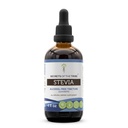 Geheimnisse der Tribe Stevia Alkoholfreie Tinktur (Glycerite) 653 mg Hergestellt mit Stevia (Stevia Rebaudiana) Getrocknete Blatt (4 Fl Oz) Blutzuckerergänzung