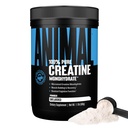 Animal Creatine Monohydrat-Pulver - Micronized Creatine für Frauen und Männer, unterstützt Muskelwachstum, Stärke, Ausdauer, Erholung und ATP-Produktion, Gym & Workout-Ergänzungen - Unflavored, 500g