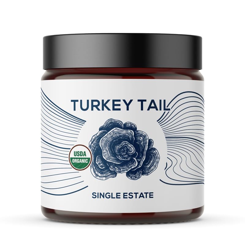 Organic Turkey Tail Mushroom Powder, Single Estate, Non-GMO - Gut, Energie, Gehirn, &amp; Immununterstützung - Vegan Mushroom Supplement in einem wiederverschließbaren Glas Jar