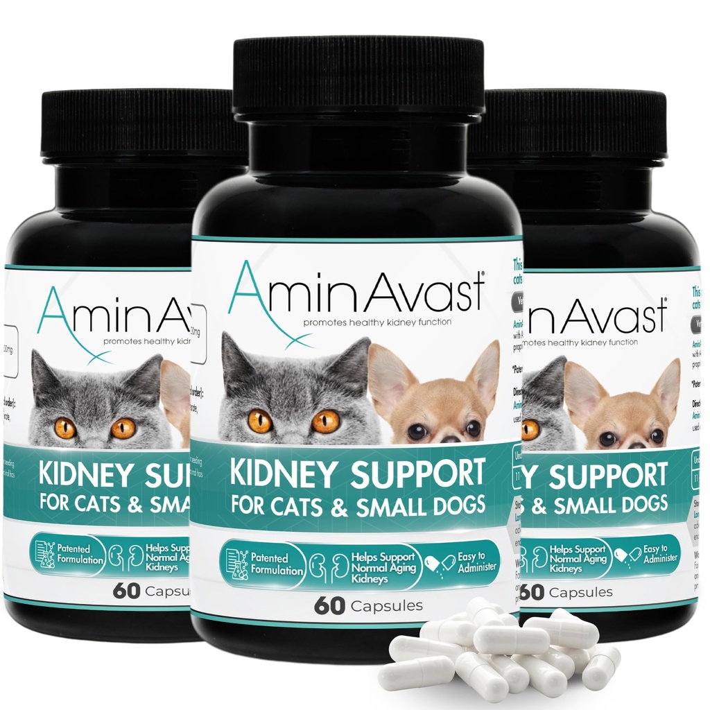 AminAvast Kidney Support Supplement für Katzen und kleine Hunde, 300mg 3-Pack - Fördert natürliche Nierenfunktion - Hilfsmittel in Gesundheit und Vitalität von Aging Kidneys - einfach verwaltet - 60 Sprinkle Capsules