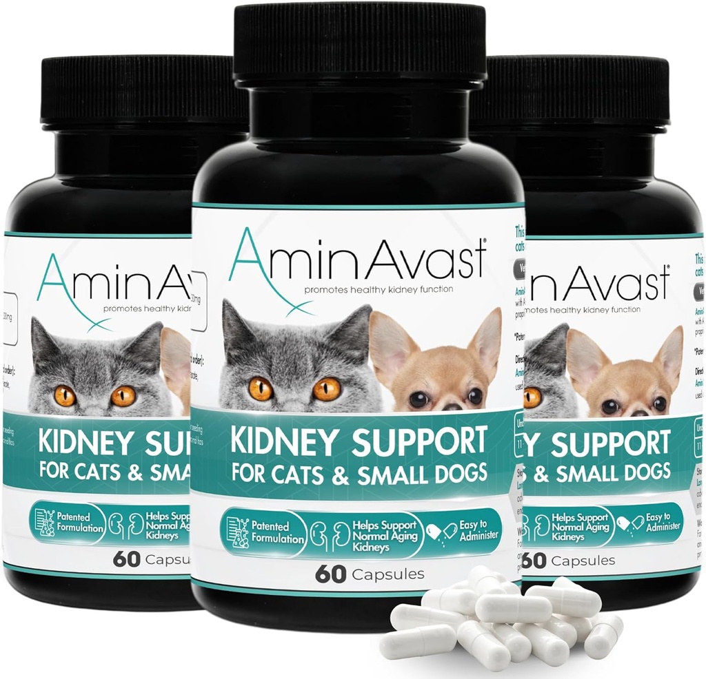 AminAvast Kidney Support Supplement für Katzen und kleine Hunde, 300mg 3-Pack - Fördert natürliche Nierenfunktion - Hilfsmittel in Gesundheit und Vitalität von Aging Kidneys - einfach verwaltet - 60 Sprinkle Capsules