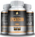 EPICATECHIN - 500MGs pro Servierung - 60 Servierungen und 1000MGS pro Servierung - 30 Servierungen - Max Strength - Mai Reduce Myostatin - Kann Lean Muskel und Stärke erhöhen - Hilft bei der Proteinsynthese