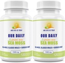 Unsere täglichen Vites Sea Moss Capsules 1500mg (2 Pack) - Wildcrafted Irish Sea Moss Bladderwrack und Burdock Root Superfood Blend - Immunsystem, Gut Health & Thyroid Support - 240 Vegetarische Kapseln