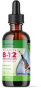 LIQUIDHEALTH Vitamin B12 Methylcobalamin Flüssigkeitstropfen mit sublingualem Hydroxocobalamin - Boost Energy, Unterstützung Immunsystem, Verbesserung von Gedächtnis und Konzentration - Made in USA, Vegan, Non-GMO (2 oz)