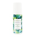 Hanf Seed Oil und Eucalyptus Joint & Muscle Discomfort Relief Roll-On Gel | USDA zertifiziertes Bio Hanf Seed Oil, hilft Sore oder Tight Muskeln zu entlasten