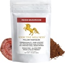 Addictive Wellness Reishi Pilzextrakt Pulver + Spores (50/50 Blend) Wood Grown Pure & Potent Wildcrafted Ganoderma 50g (1.76 oz)