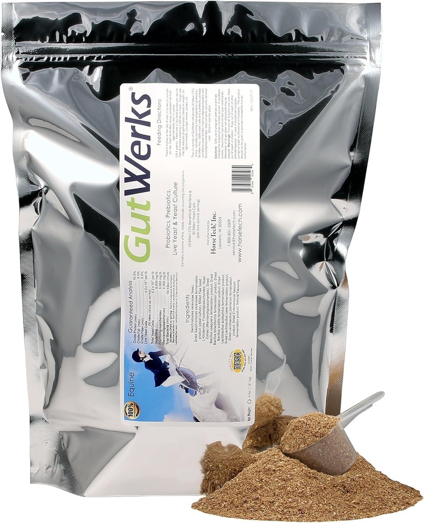 Chevaltech GutWerks (4 livres)