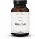 Türkei Tail Mushroom Supplement. Dual Extract, Pure Fruiting Body, 30% Polysaccharide, 500 mg, 120 Vegecaps (60-Day Supply). Kann gesunde Immunfunktion unterstützen