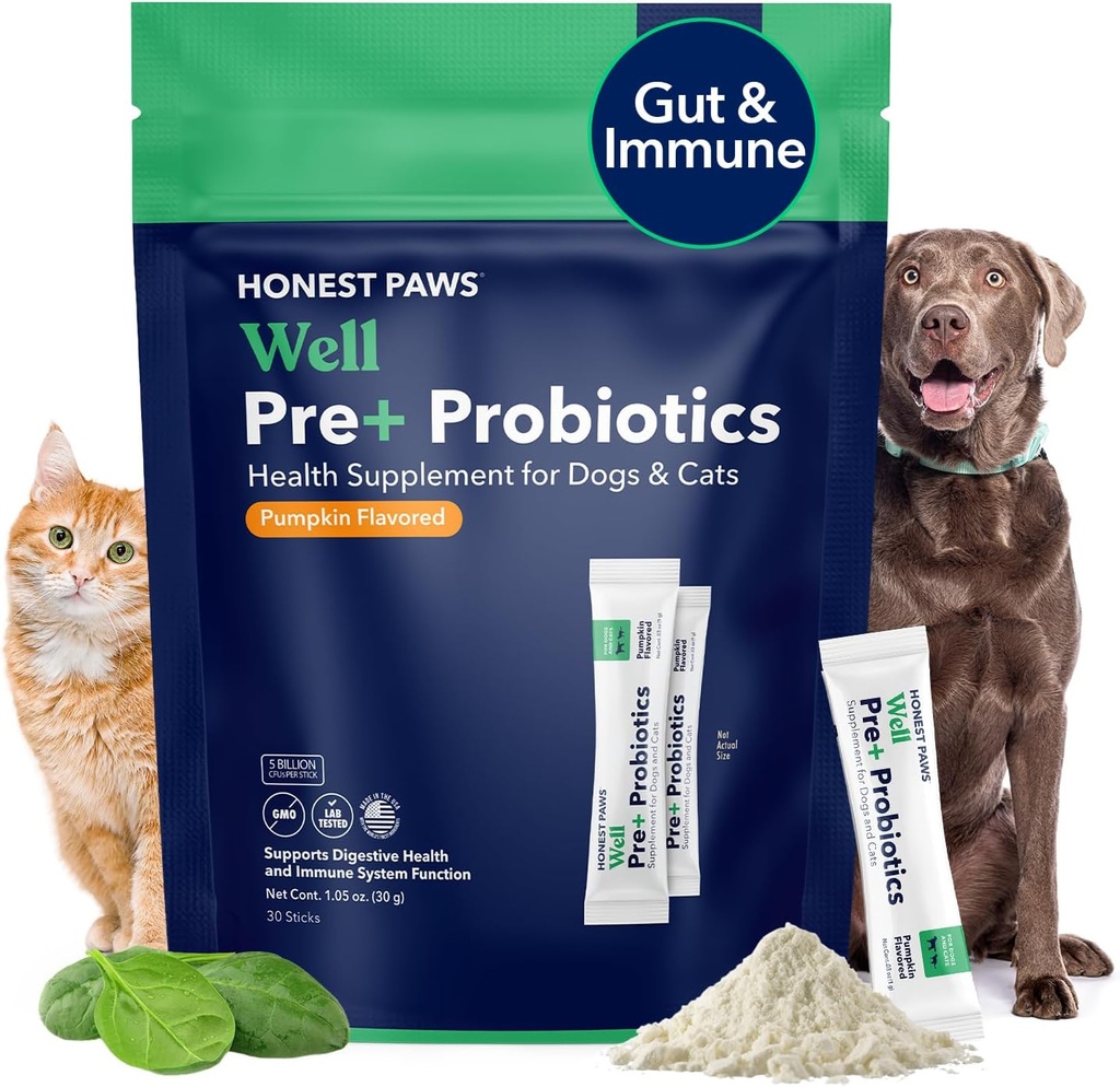 Honest Paws Probiotics for Dogs - Dog Digestion Gut Health Probiotic Powder with Prebiotic Made in The USA, Verdauungs- und Immununterstützung - Verdauungsenzyme mit Kürbis Geschmack (30 Sticks)