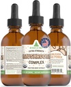 Teinture complexe de champignons organiques RawGuru - Extrait de champignons organiques avec minéraux traces - Supplément de soutien cognitif et immunitaire nanoprocessé - 60 portions de gouttes végétaliennes par 60 ml, paquet de 1
